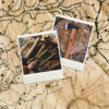 map-menu.jpg
